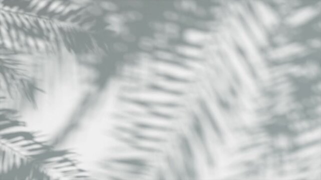 Soft shadows of tropical palm fronds, swaying gently in natural sunlight, cast upon a neutral white wall.
