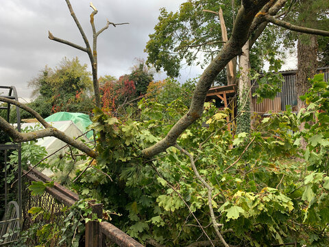 Sturmschaden-nach Sturm abgebrochene &Auml;ste liegen im Garten