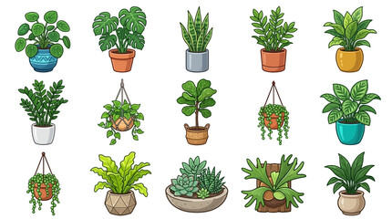 Fototapeta premium Vector illustration set of fifteen diverse indoor house plants in colorful ceramic pots and hanging baskets, isolated botanical elements for home decor.