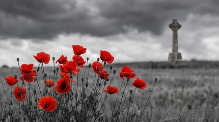 Obraz premium red poppies blooming in a monochrome field with blurred celtic cross, dark stormy sky and november 11 text