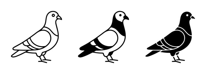 Fototapeta premium Pigeon Icons, Bird Silhouettes, and Outline Vector Graphics for Animal and Nature Designs