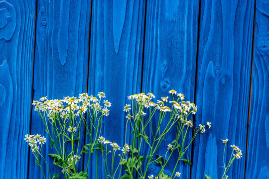 floral modern design on blue wooden desk top view mock up