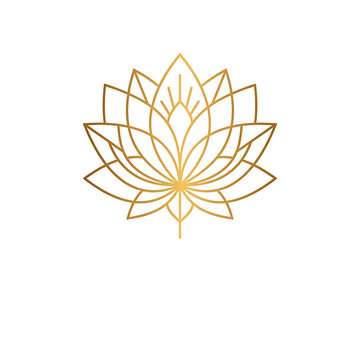 Geometric lotus flower illustration with golden lines on a white background