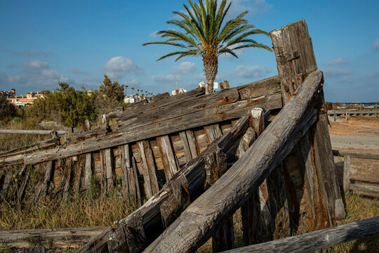 Weathered wooden structure near palm tree in coastal Santa Pola area