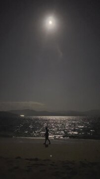 Silhouette of Person Walking on Beach at Night