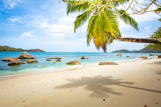 Ile de Praslin