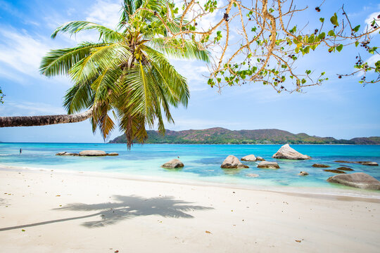 Ile de Praslin