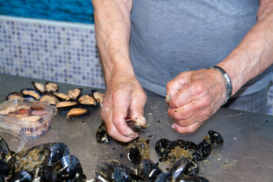 Cleaning mussels and sea mussels for preparing fish dishes in restaurants