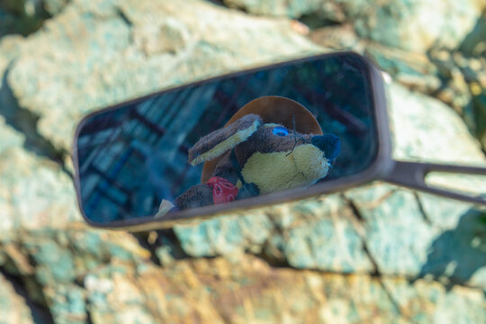 A stuffed dog toy wearing a red bandana appears in the reflection of a small vehicle side mirror mounted against a rocky backdrop.