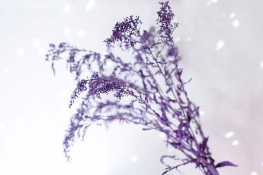 A cluster of dried purple limonium flower stems stands against a light background with soft bokeh light spots, a delicate floral design concept.