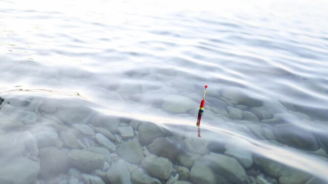 Colorful fishing float gently sways on transparent sea water above smooth stones while an angler waits patiently for a bite during a quiet summer fishing session near shore