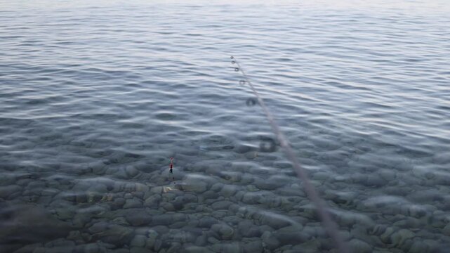 Fishing float remains still on calm clear sea waters above visible stones while an angler patiently waits for a fish to bite during quiet peaceful shore fishing in summer