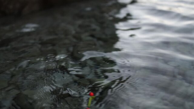 Fishing float moves through clear shallow water as widening ripples surround the bobber showing signs of a fish bite and anticipation during quiet shore fishing in summer