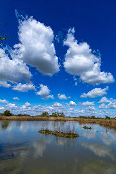 Manzolino and Tivoli Oasis Nature Reserve, Province of Modena