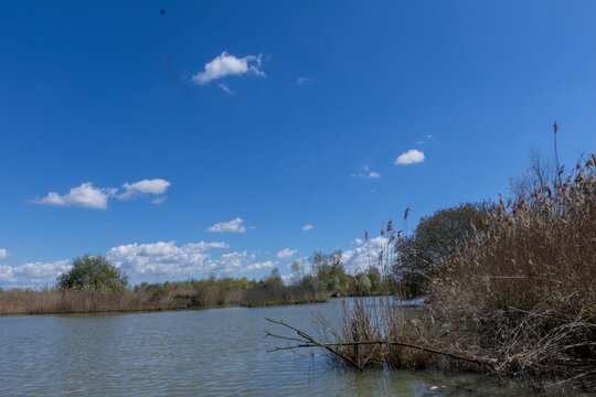 Manzolino and Tivoli Oasis Nature Reserve, Province of Modena