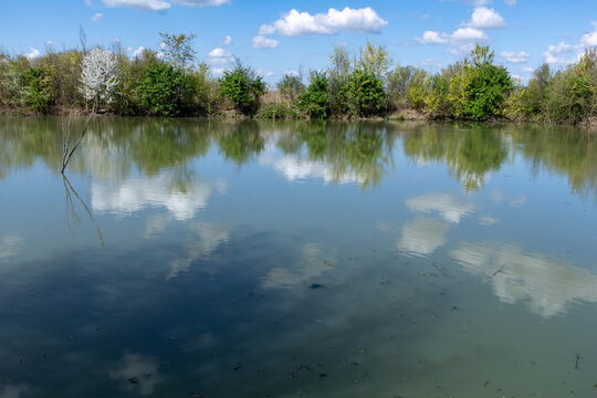 Manzolino and Tivoli Oasis Nature Reserve, Province of Modena