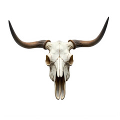 Fototapeta premium Longhorn Skull With Halftone Effect Against Black Background