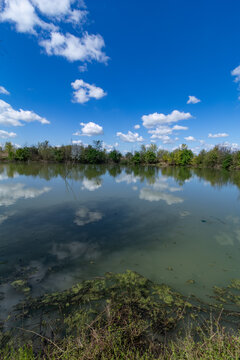 Manzolino and Tivoli Oasis Nature Reserve, Province of Modena