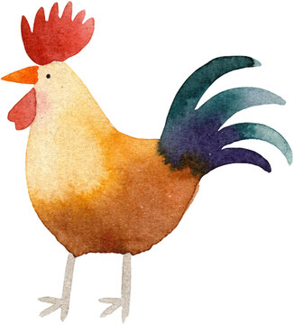 Watercolor Rooster Cockerel Farm Animal rustic hand painted illustration of a male chicken bird for country kitchen decor