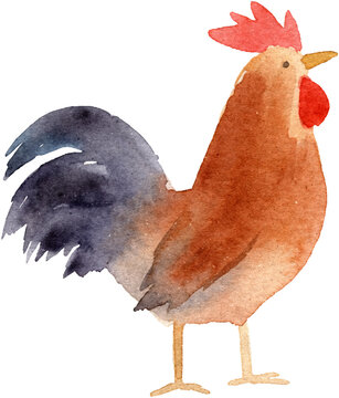 Watercolor Rooster Illustration Hand Painted Brown Cock Farm Animal Bird Art for Rustic Kitchen Decor