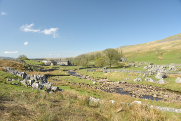 Fototapeta premium Scenery in Ribblesdale near Winterscale Beck in the Yorkshire Dales National Park