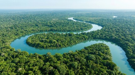 Obraz premium Bird's-eye view of the green forest in the Amazon rainforest, Brazil, South America.