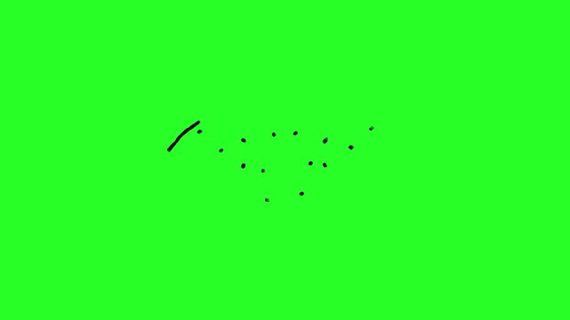 Halloween Bat Outline Animation Green Screen Video