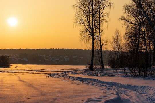A serene winter landscape, sun-kissed snow track winding through a frozen field, bare birch trees silhouetted against the golden evening sky
