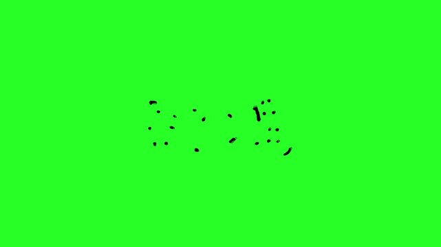 Halloween Candy Outline Animation Green Screen Video
