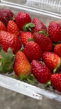 Fresh strawberries in a clear container on a flat surface