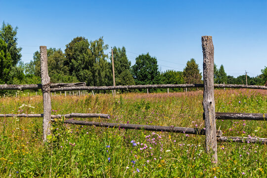 Weathered wooden fence posts standing in a lush wildflower meadow under a bright summer sky, overgrown pasture enclosure with rustic timber rails in a serene rural countryside landscape