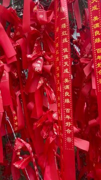 Red ribbons tied to trees in a festive setting during a celebration in an outdoor area