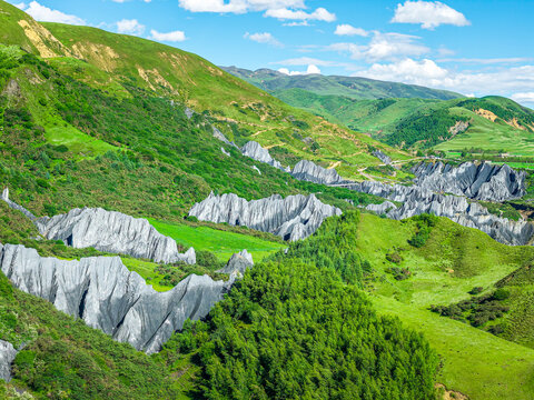 Unique black stone forest geological landform at Moshi Park in western Sichuan, China
