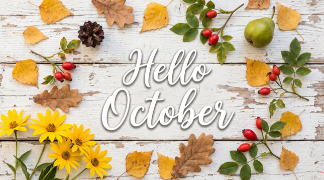 Hello october greeting on rustic white wood with fall flowers and berries