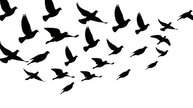 Flock of black bird silhouettes flying in formation, isolated on transparent background