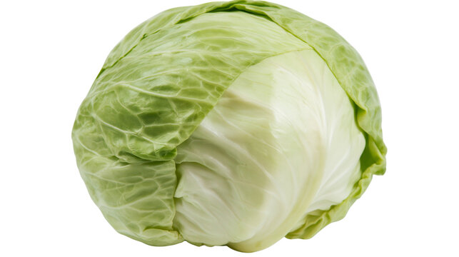 Fresh green cabbage head with layered leaves, isolated on transparent background