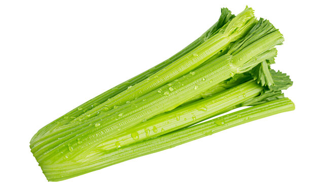 Fresh green celery stalks with water droplets, isolated on transparent background