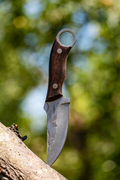 Handcrafted tactical knife stuck in tree branch outdoors. Custom survival knife with textured steel blade and dark wooden handle stuck into tree branch against blurred green forest background
