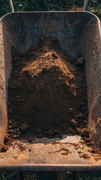 A wheelbarrow filled with dark soil or compost.