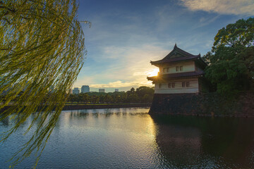 Naklejka premium Tokyo, Japan - Oct 1 2024, panoramic view from water of the Tokyo Imperial Palace, with tree foliage in foreground and skyscrapers on the horizon in the background, at sunset, Tokyo, Japan
