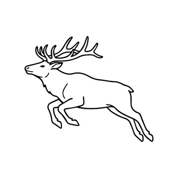 Active reindeer jumping silhouette line art illustration with reindeer, wildlife