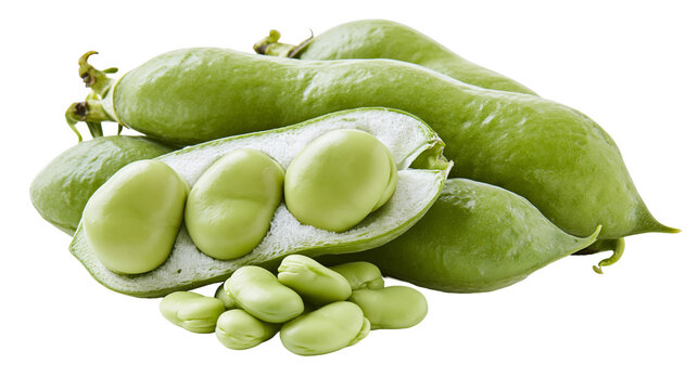 Fresh green fava beans some shelled and scattered, isolated on transparent background