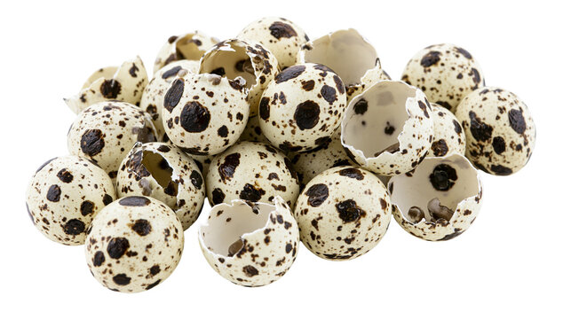 Pile of cracked speckled quail eggshells, isolated on transparent background
