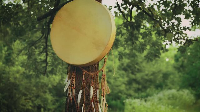 Shaman drum hanging on old tree round genuine leather musical instrument. Shamanic tambourine boho style feathers. Forest trees green grass foliage sky art video summer nature zen relax yoga. video 4k