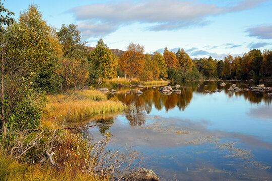 Fall at the river Inna, Norway