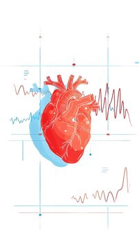A video showcasing a human heart with an electrocardiogram reading in the background