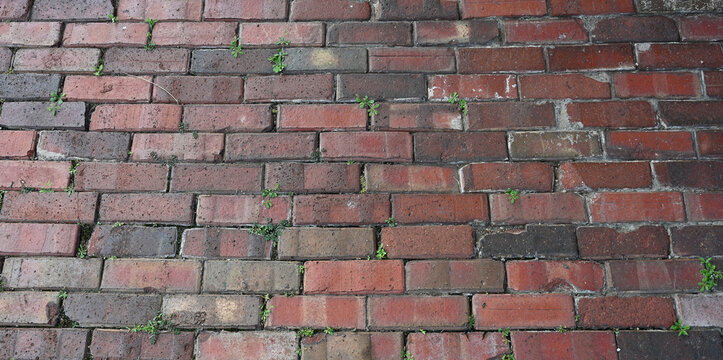 Red brick road pavement surface with weathered porous bricks, rough, uneven rows, mineral deposits, chips cracks, black dirt, natural debris, and vegetation between bricks