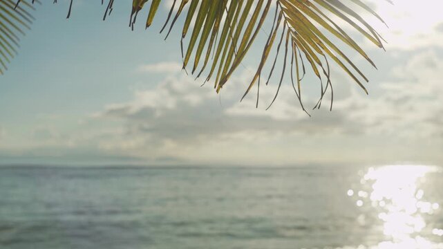 Tropical Seascape Framed by Palm Foliage with Soft Ocean Water Bokeh