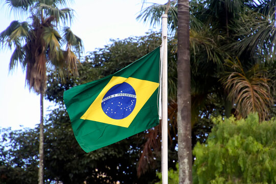 Brazilian National Flag Waving Over Green Trees and Natural Foliage Background