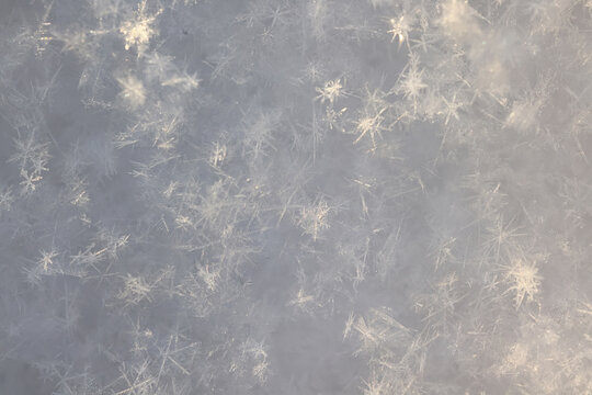 Winter white snow background, abstract blurred snowfall surface